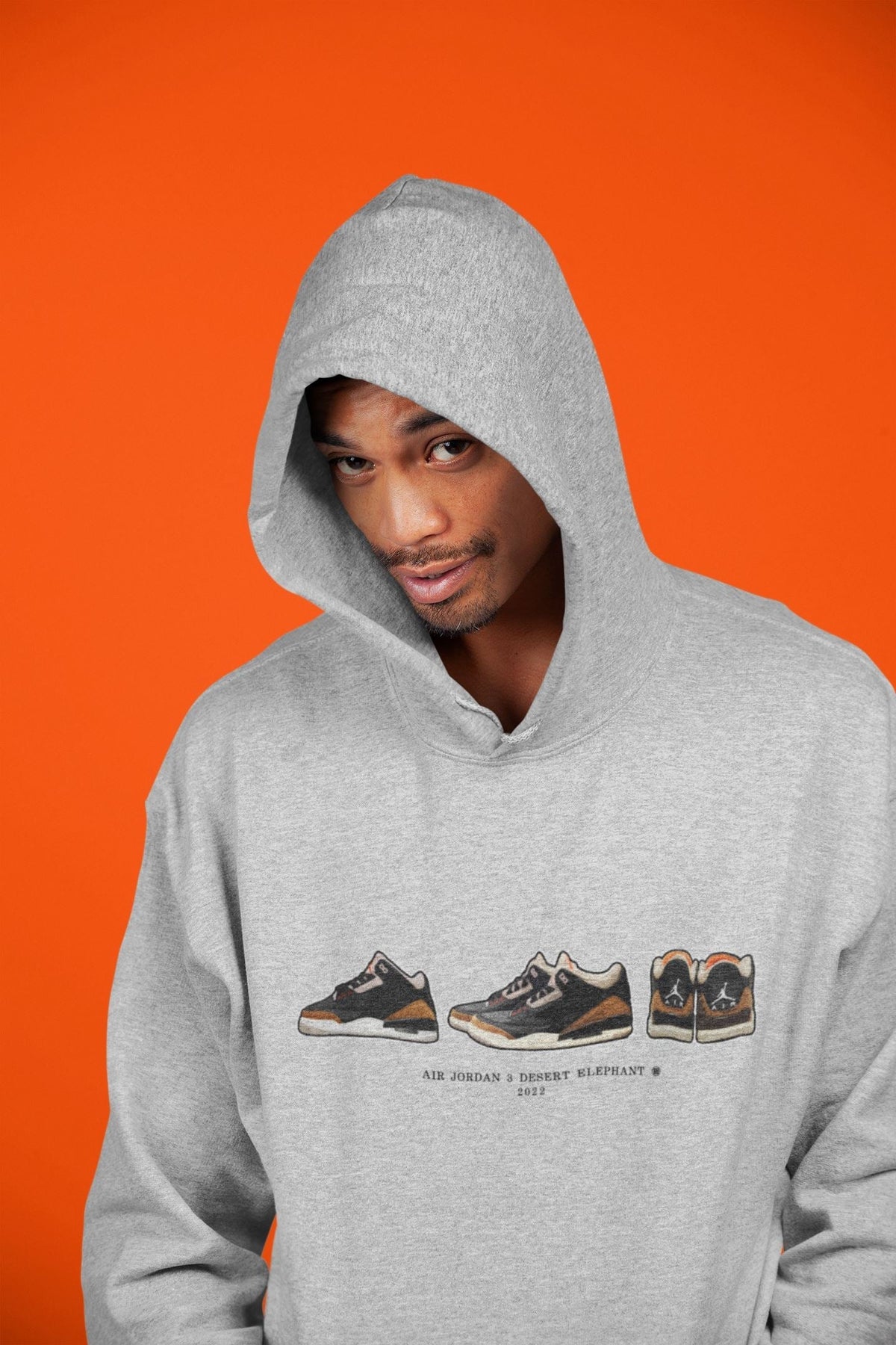 Jordan 3 Desert Elephant Sneaker Matching T-Shirt Air Jordan 3 Prelude Sneaker Tees Jordan 3 Desert Elephant Sneaker Release Tees Crew Neck Tees