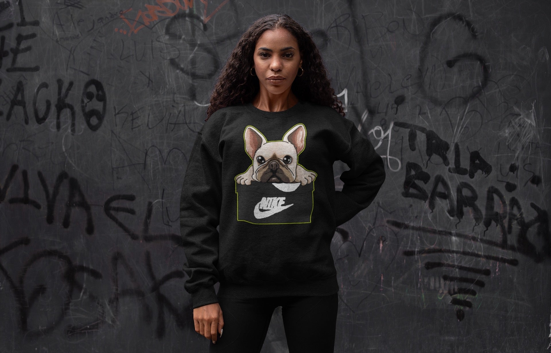 Jordan 1 Visionaire Sneaker Matching T-Shirt French Bulldog Sneaker Tees Jordan 1 Visionaire Sneaker Release Tees Crew Neck Tees