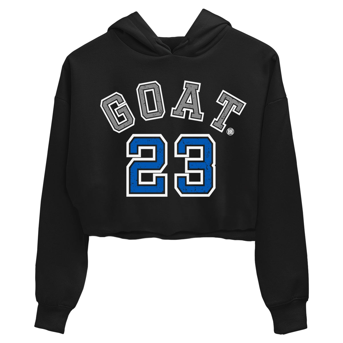 Jordan 1 True Blue Sneaker Matching T-Shirt Goat 23 Sneaker Tees Jordan 1 True Blue Sneaker Release Tees Women's Shirts