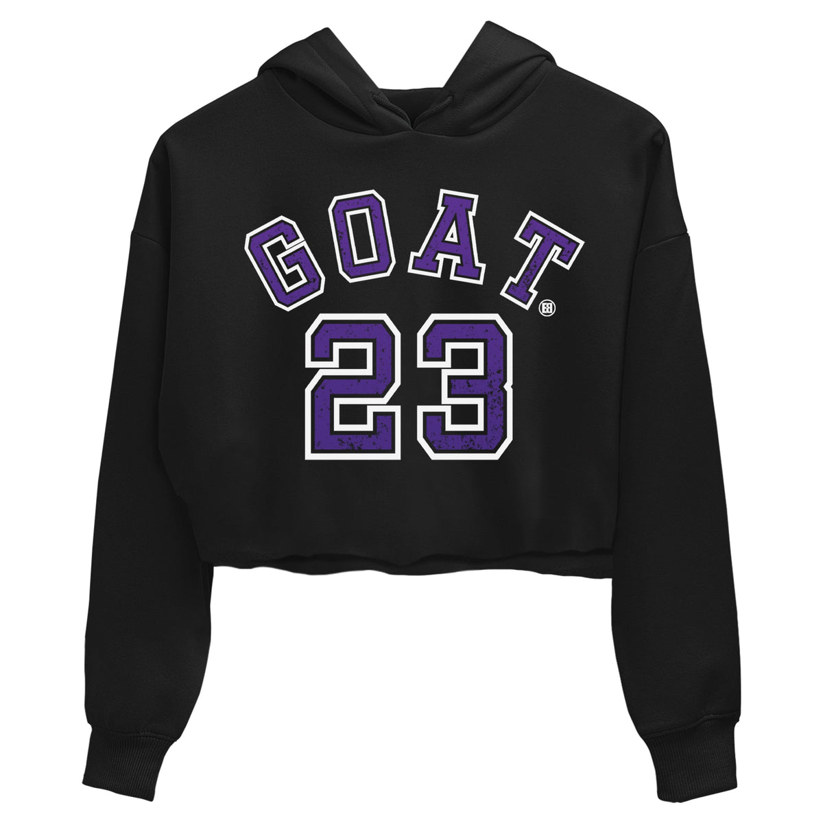 Jordan 13 Court Purple Sneaker Matching T-Shirt Goat 23 Sneaker Tees Jordan 13 Court Purple Sneaker Release Tees Women's Shirts