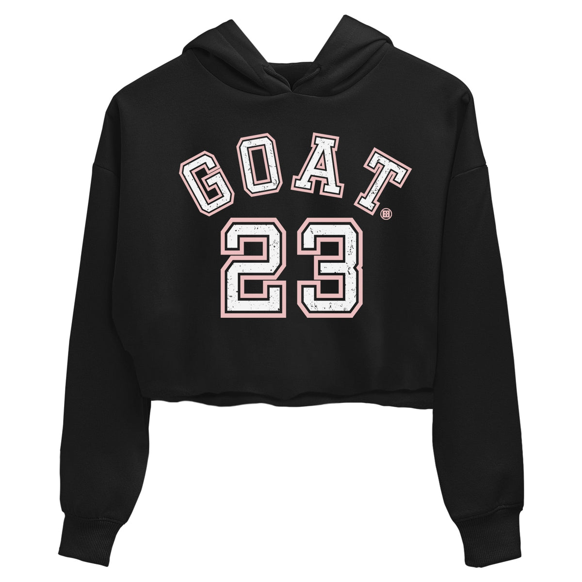 Jordan 3 Atmosphere Sneaker Matching T-Shirt Goat 23 Sneaker Tees Jordan 3 Atmosphere Sneaker Release Tees Women's Shirts