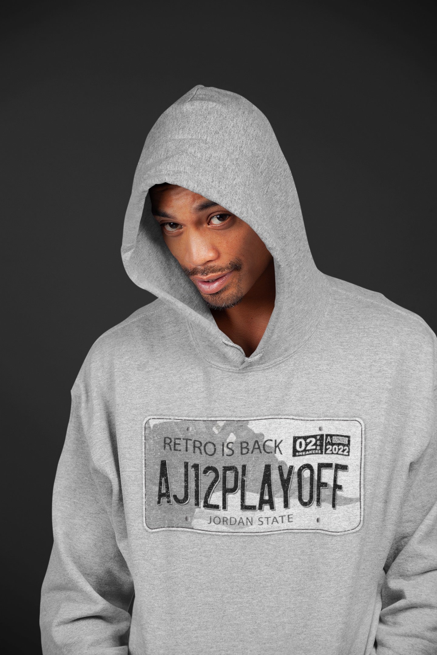 Jordan 12 Playoffs Shirt To Match Jordans Jordan Plate Sneaker Tees Jordan 12 Playoffs Drip Gear Zone Sneaker Matching Clothing Unisex Shirts
