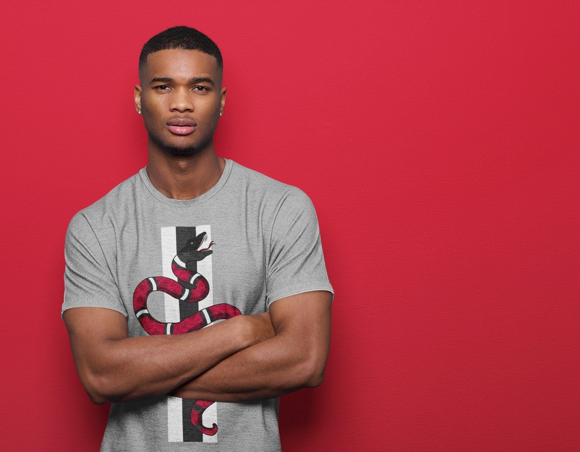 Jordan 6 Carmine Shirt To Match Jordans Snake Sneaker Tees Jordan 6 Carmine Drip Gear Zone Sneaker Matching Clothing Unisex Shirts